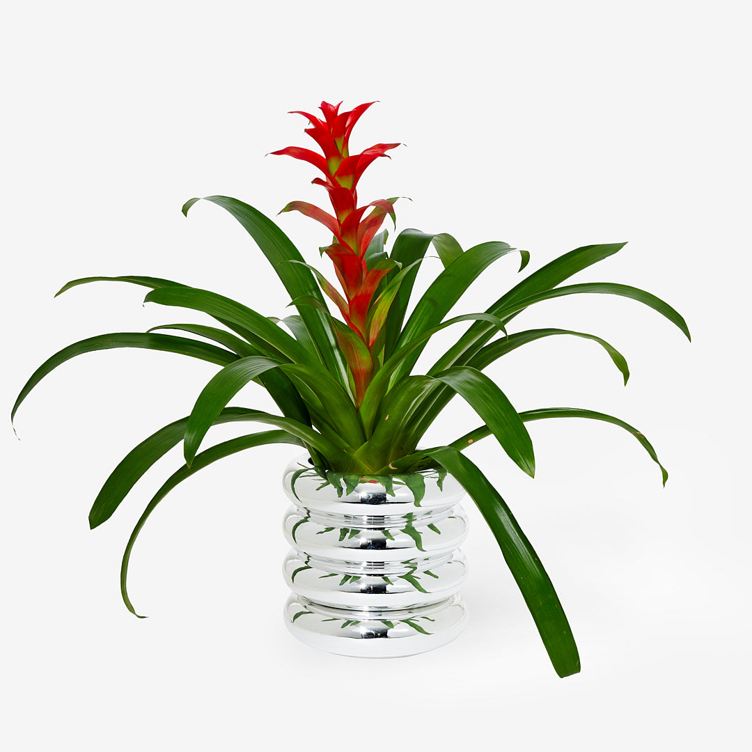 Stacking Planter - Tall - Limited Edition