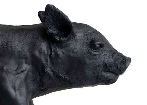 Reality Bank in the form of a Pig - Matte Black
