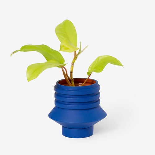 Strata Plant Vessel - Blue