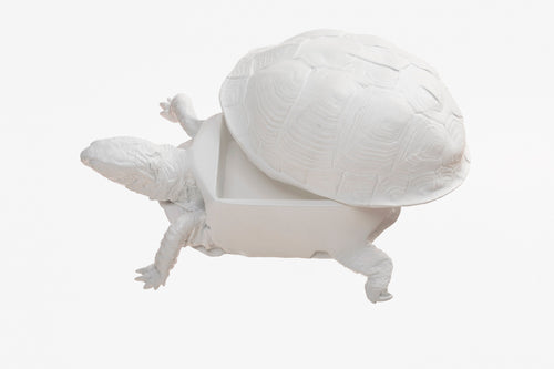Turtle Box - White